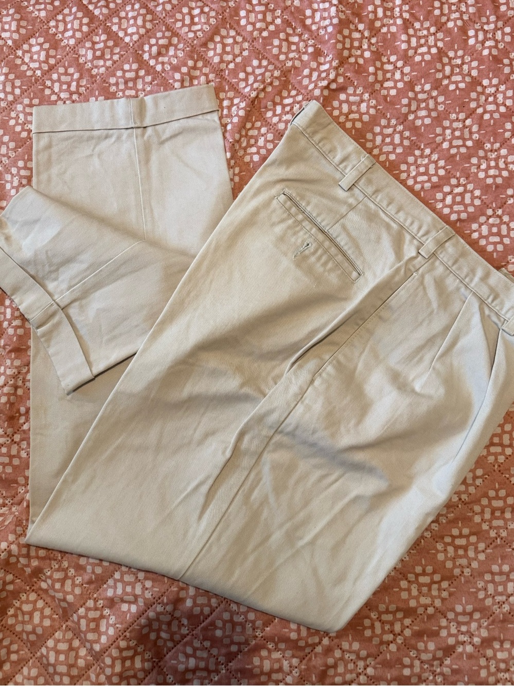 Men's Classic Pleated Chino Pants in Light Beige